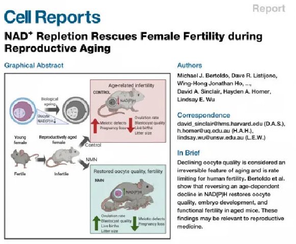 PssoppC9NMN：重燃职场活力，科学应对职业倦怠！-4.jpg