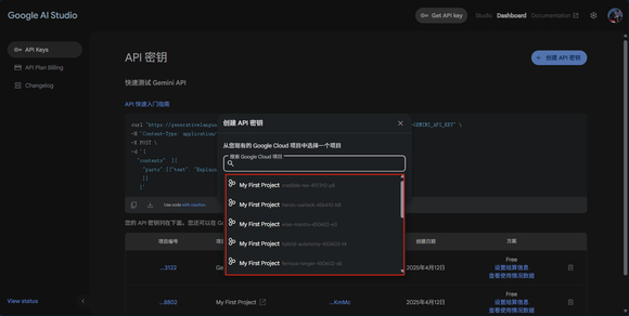 gemini apikey公益轮询直连，分享和征集-2.jpg