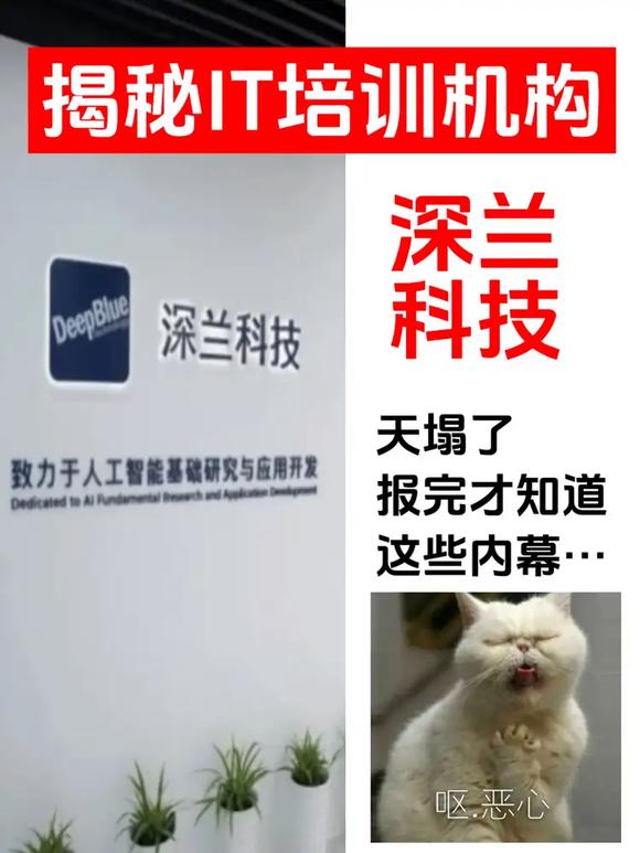 深度测评热门IT培训机构之——深兰科技-1.jpg