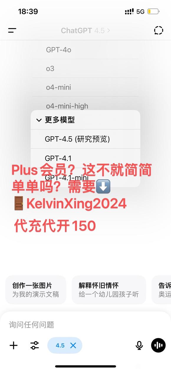 ChatGPT plus会员-1.jpg